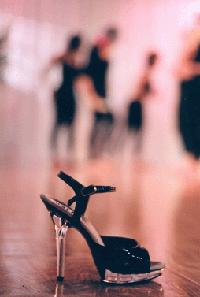 The Art of Exotic Dancing for Everyday Women - Signature Experience